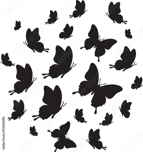 Butterfly silhouettes: A mesmerizing display of butterfly silhouettes dances, creating a graceful and dynamic composition in a captivating display.