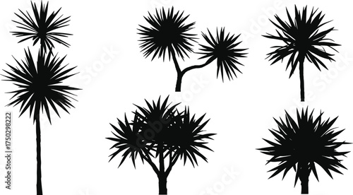 Palm-like tree silhouettes, yucca dracaena inspired plants, tropical exotic foliage design, black vector illustration, isolated botanical artwork, landscape elements
