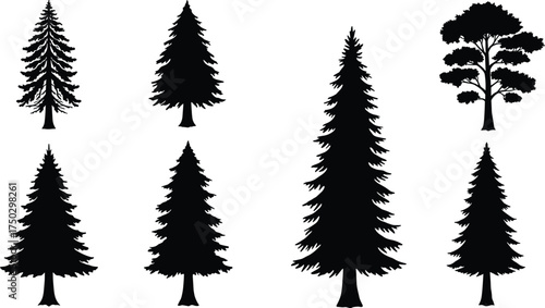 Pine and conifer tree silhouettes, evergreen vector set, black forest trees collection, isolated nature elements, winter tree shapes, landscape design