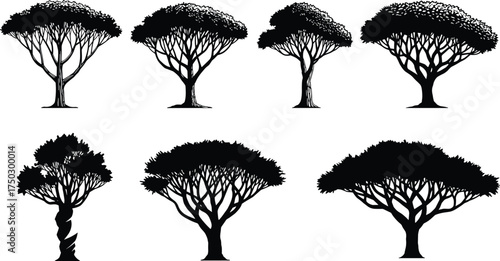 Stylized tree silhouettes, artistic vector trees, black botanical shapes, abstract foliage illustration, diverse canopy designs, landscape graphic elements, decorative nature icons