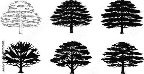 Stylized tree, deciduous tree, abstract foliage, artistic tree design, botanical vector, eco artwork, natural illustration, forest element, decorative tree, graphic concept