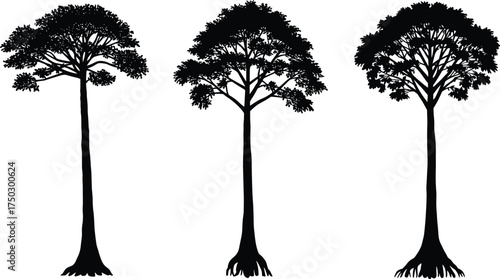 Tall tree silhouette, black tree, deciduous tree, forest illustration, natural design, botanical vector, foliage artwork, eco symbol, plant drawing, landscape element
