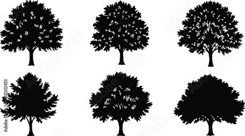 Tree silhouettes collection, black tree outlines, deciduous canopy shapes, isolated vector illustration, natural landscape elements, abstract botanical art, branching structure design