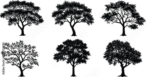 Tree silhouettes collection, black vector trees, diverse canopy shapes, botanical illustration, abstract foliage design, natural elements, forest icons, graphic art