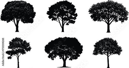 Tree silhouettes collection, diverse forest landscape elements, black nature shapes, isolated vector trees, botanical illustration, woodland design, natural foliage artwork