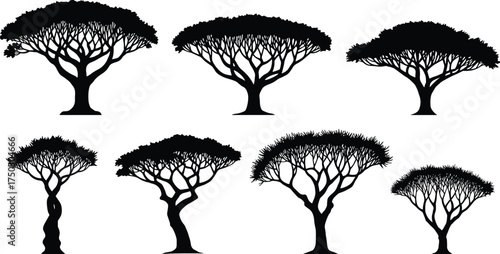 Umbrella tree silhouettes, stylized botanical illustration, black vector trees, nature design elements, abstract canopy shapes, decorative forest icons, graphic art