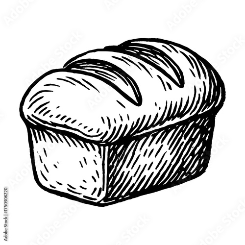 Hand-drawn bread loaf illustration vector