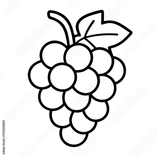 Outline grapes illustration transparent vector