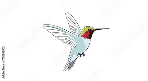 A tiny ruby throated hummingbird hovering in mid air with its wings outstretched.