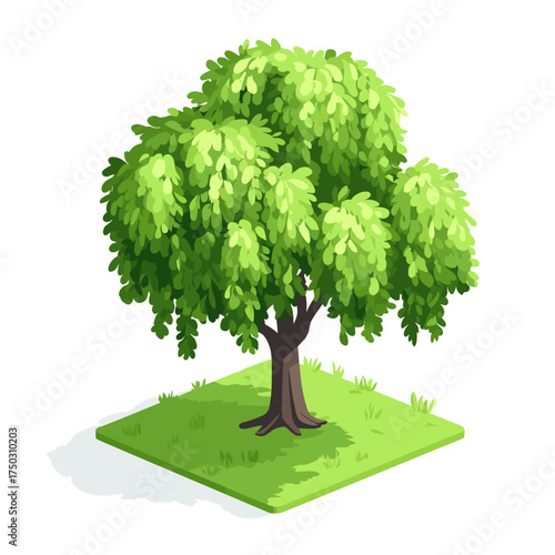 Willow tree illustration green vegetation vector