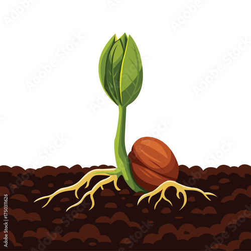 Seed germinating in soil, growing a new green sprout and roots.