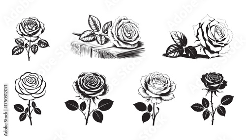 Elegant Rose Flower Silhouettes – Black and White Botanical Line Art Collection.