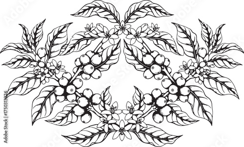 Decorative Frame of Coffee Branches for Packaging or Label Design