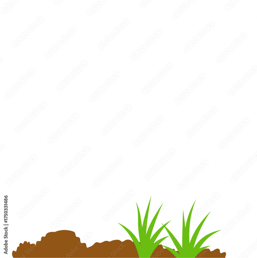 Fototapeta premium ground bed vegetable garden