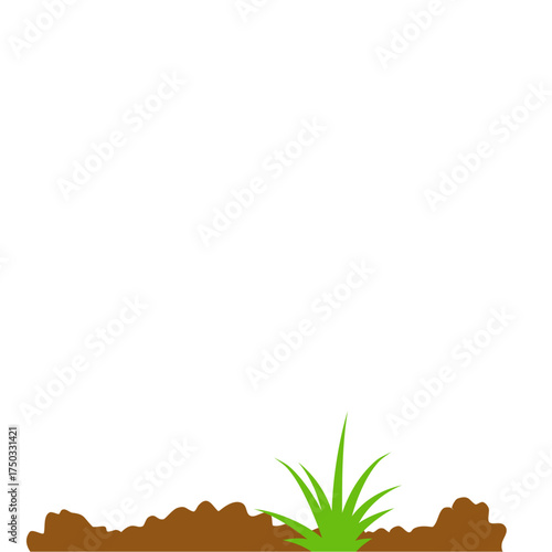 ground bed vegetable garden