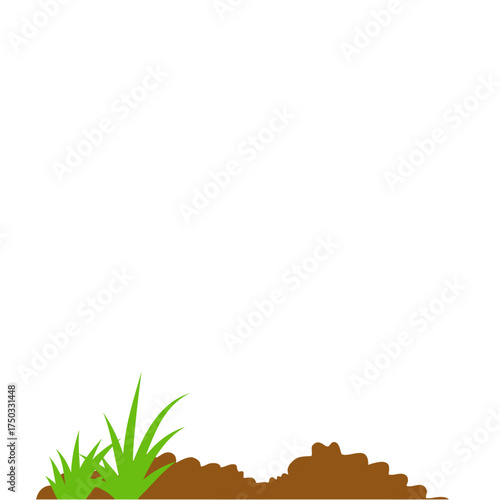 ground bed vegetable garden