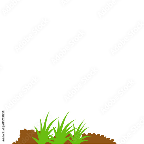ground bed vegetable garden