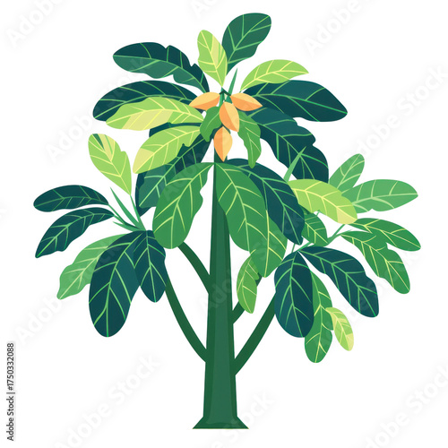 Transparent papaya tree growth journey in nature vibrant leaves and fruits close-up view for botanical enthusiasts