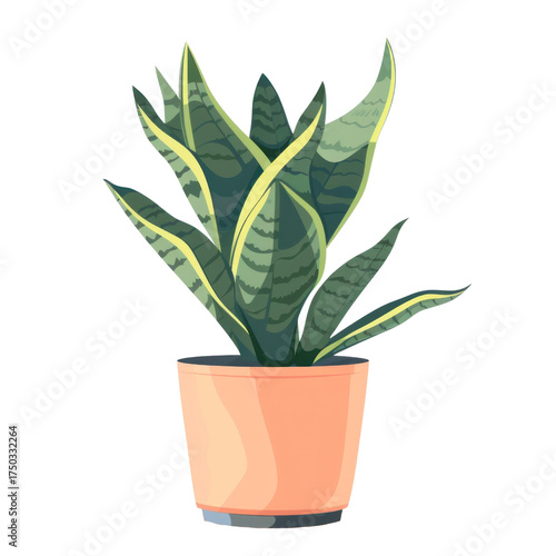 Transparent greenery sansevieria plant display in a modern indoor space natural light aesthetic appeal