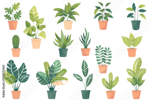 Transparent greenery exploring indoor plant variety in a cozy environment with a fresh perspective