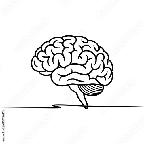 Human Brain Anatomy and Intelligence Continuous Line Art Illustration for Medical Healthcare or Education Purposes Highlighting Cognitive Function and Neurological Processes