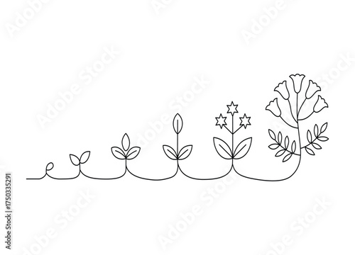 Sequential Plant Growth Stages Illustrated in Minimalist Line Art Depicting Development from Seedling to Blooming Flower with Star Shaped Blossoms and Detailed Foliage