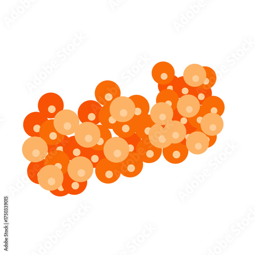 Salmon egg vector