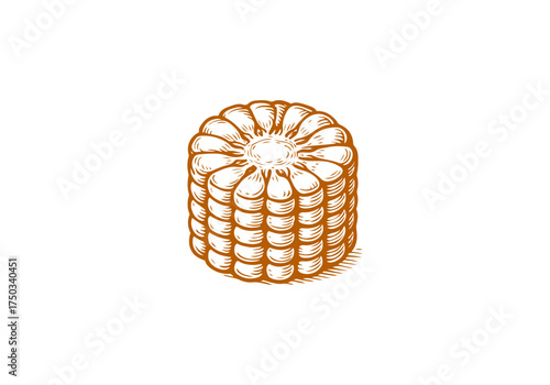 Corn cob hand drawn simple engraved vector illustration