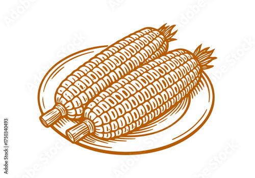 Corn cob hand drawn simple engraved vector illustration