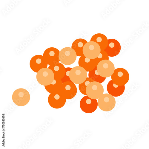 Salmon egg vector