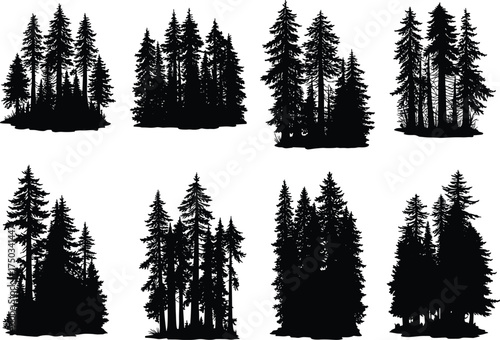 Set of conifer tree silhouettes in forest clusters, evergreen pine woodland elements for nature, landscape, outdoor, and environment design themes