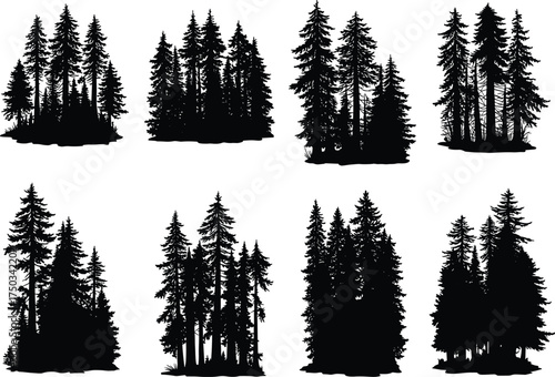 Set of conifer tree silhouettes in forest clusters, evergreen pine woodland elements for nature, landscape, outdoor, and environment design themes