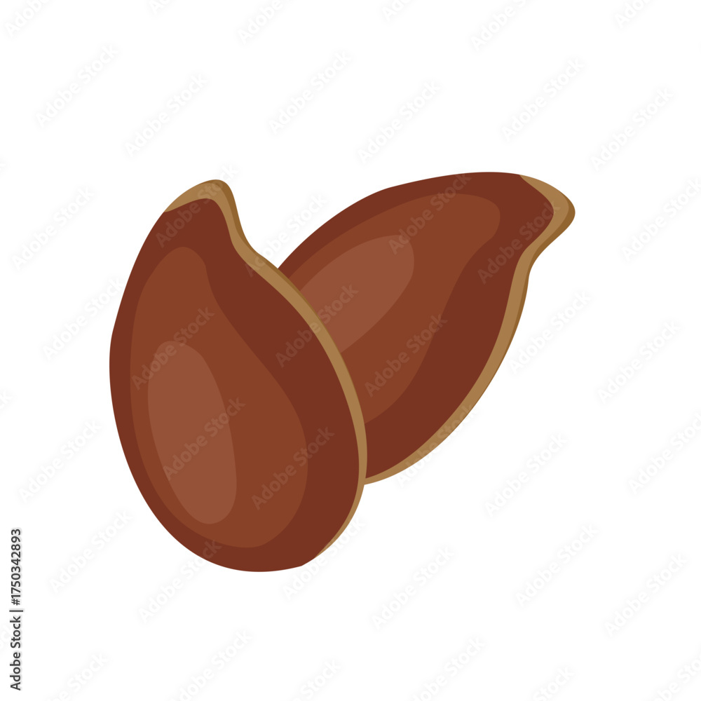 Obraz premium Brown flax seed