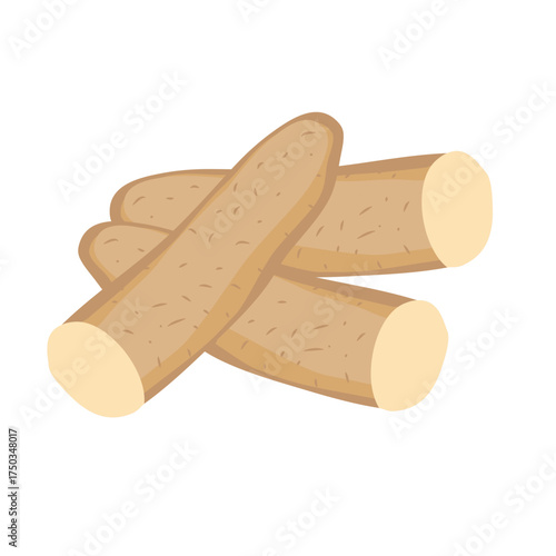 Chinesse yam vector
