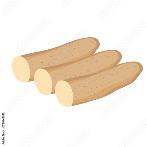 Chinesse yam vector