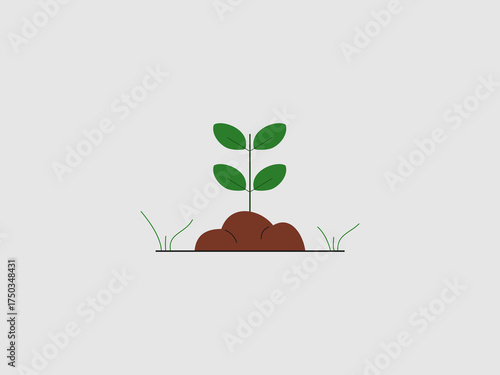 young plant with four green leaves growing out of a mound of brown soil