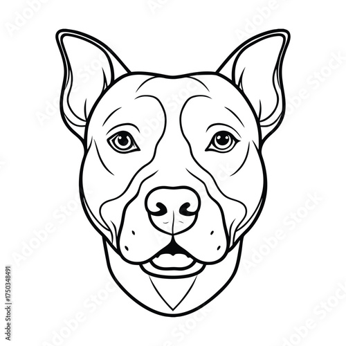 Pit bull portrait loyal pet dog strong animal minimalist design vector line art on white background