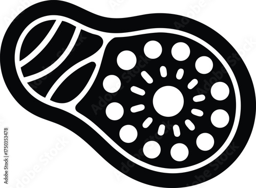 Endoplasmic Reticulum Rough Smooth silhouette vector art Illustration