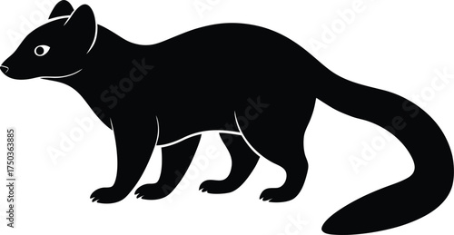 Civet silhouette vector art illustration