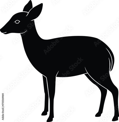 Duiker silhouette vector art illustration