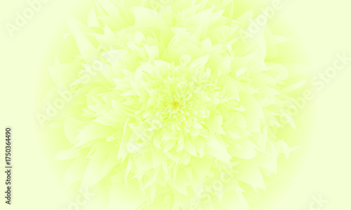Seamless pattern with colorful pattern of abstract flowers. Hand drawn. Eps10