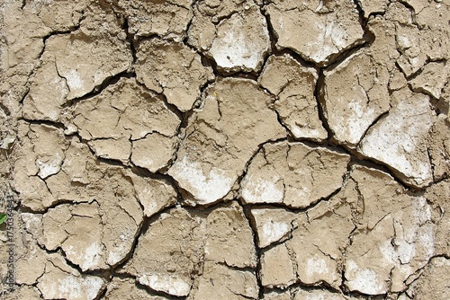 Dry, cracked mud texture with beige earth tones and white deposits