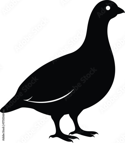 Ptarmigan silhouette vector art illustration