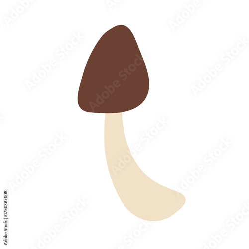 Wild Brown Cap Mushrooms