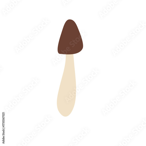 Wild Brown Cap Mushrooms