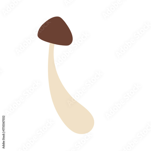 Wild Brown Cap Mushrooms