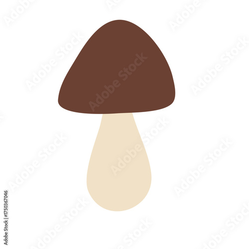 Wild Brown Cap Mushrooms