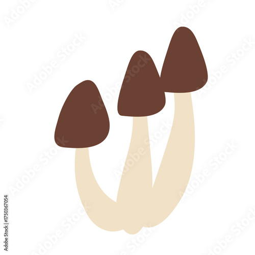 Wild Brown Cap Mushrooms