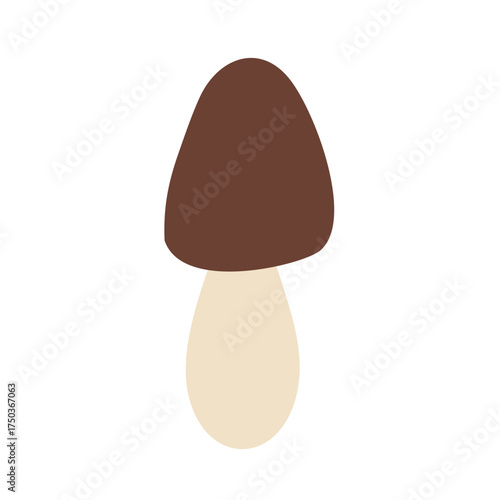 Wild Brown Cap Mushrooms