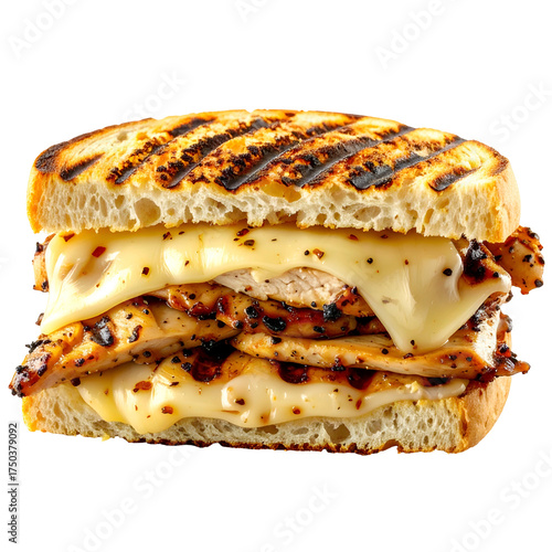 Grilled chicken sandwich with melted cheese between toasted bread, close-up view